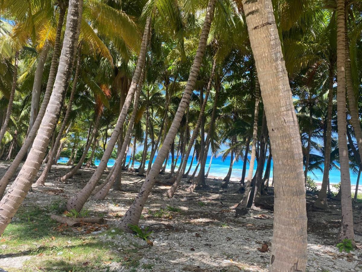 Beachfront Apartment, Quiet 4 Beds, 1 Bath, Ac, Wi-Fi, Hot Water, In Paraiso Near Los Patos Bagian luar foto